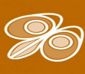 Advanced Diploma in Theology and Pastoral Ministry